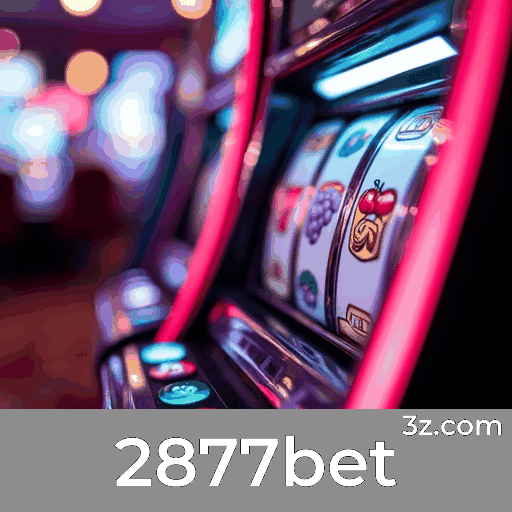 2877bet